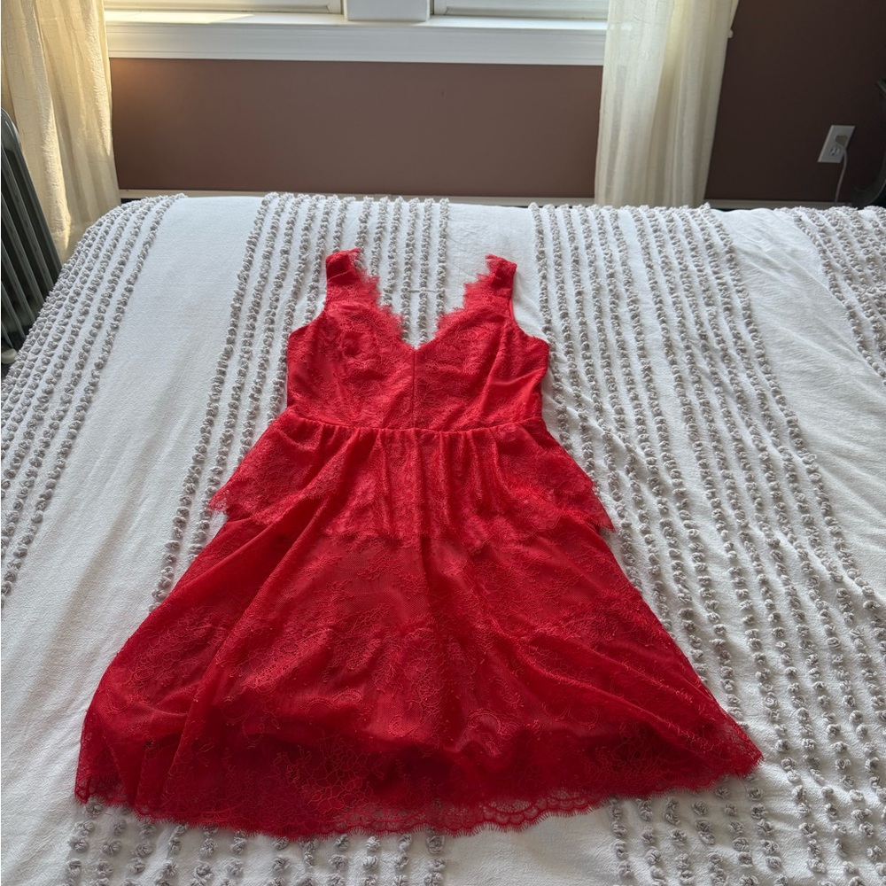 BCBG Vintage Poppy Lace Dress (medium)